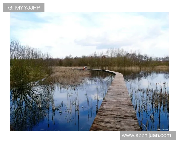 攀岩之路上的坚韧与梦想：陈芳的深度对话与人生探索